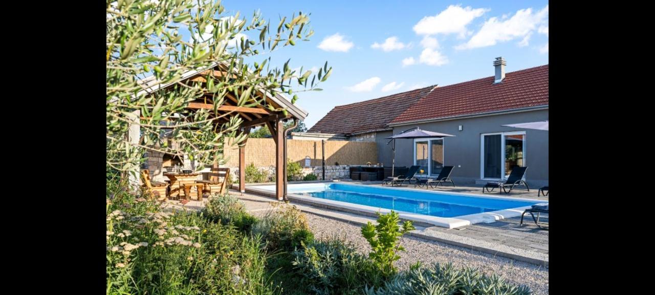 Olive Tree House With Jacuzzi, Wifi And 40M2 Pool Villa Siritovci Exterior photo